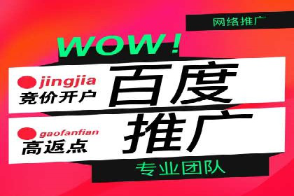 百度竞价代运营成功案例分享